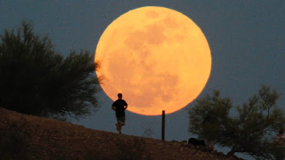 Resultado de imagem para Grande e brilhante. Maior superlua dos últimos 60 anos é esta segunda-feira