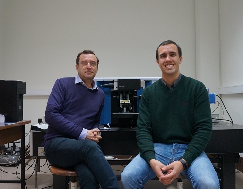 Investigadores da FCTUC integram consórcio internacional que estudou a queda e origem de meteoritos provenientes do asteroide Vesta