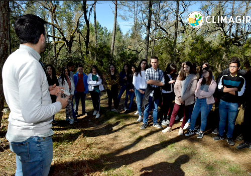 ClimAgir alerta que as árvores minimizam os efeitos das alterações climáticas