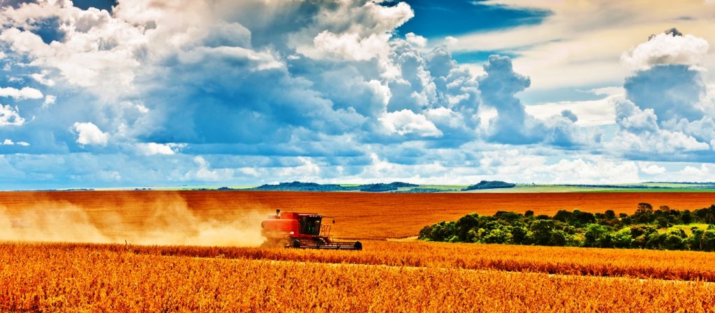 Opinião | Agronegócio é a solução, apesar da má fé de alguns