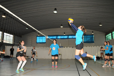 Desporto | SUMMER CUP VOLLEYBALL: Equipas vêm fisicamente preparadas para o torneio em 2019
