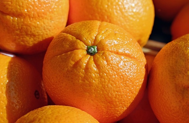 Sul | Estratégias para promover a laranja algarvia