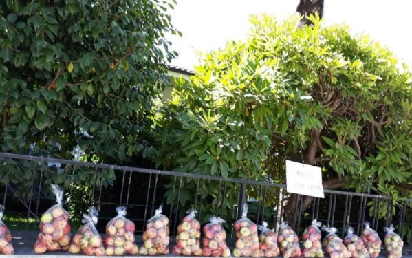 Bracarense volta a oferecer fruta para evitar desperdício