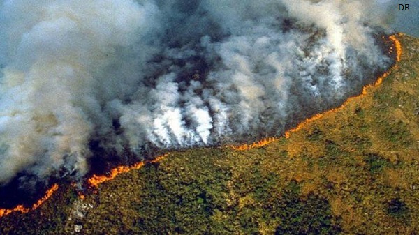 Mundo | ONU “muito preocupada” com incêndios na Amazónia