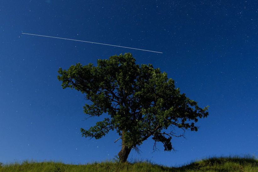 Abate de sobreiros por causa das barragens do Alto Tâmega criticado pela Quercus