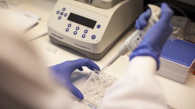 Saúde | Cancro na próstata está a aumentar, alerta especialista