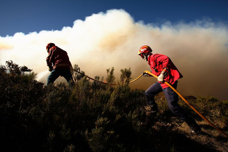Incêndios: Quase 20 concelhos em risco máximo no interior norte e centro e Algarve