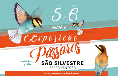 Porto de Mós | Exposição de Pássaros