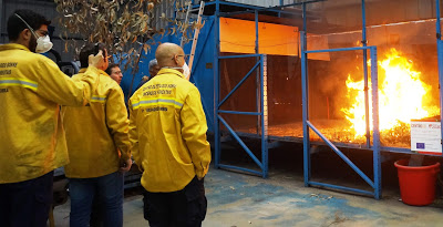 Coimbra | FCTUC participa em projeto europeu que pretende melhorar a resiliência das florestas a incêndios