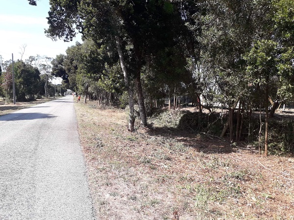 Mira regulariza cursos de água afetados pelos fogos de 2017