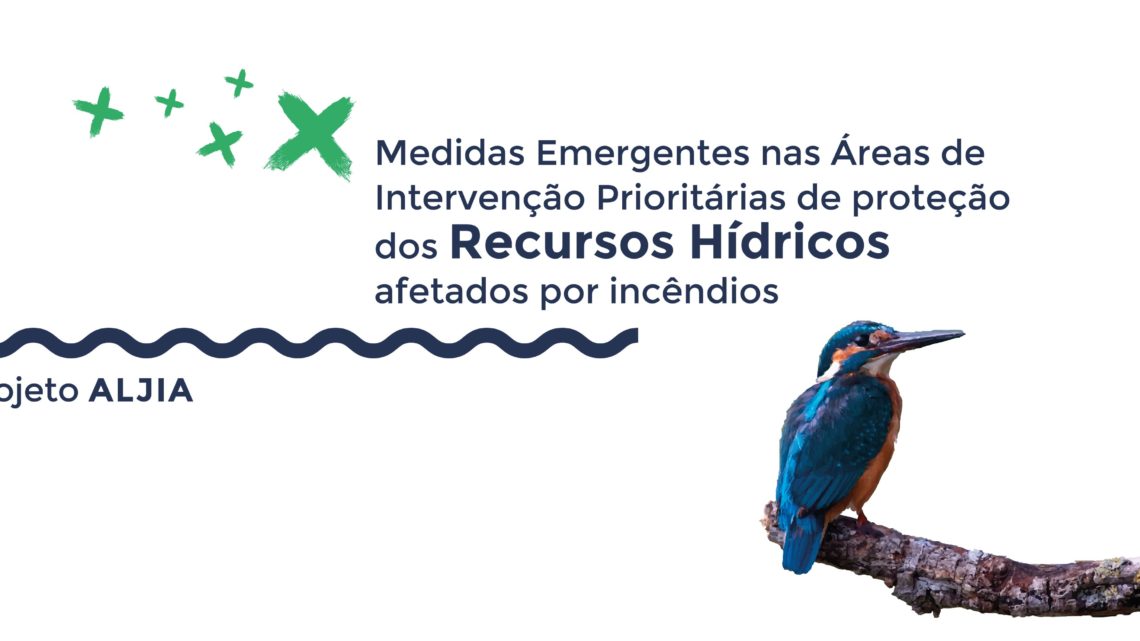Documentário: “Medidas Emergentes nas Áreas de Intervenção Prioritárias de Proteção dos Recursos Hídricos afetados por incêndios” – Projeto ALJIA (Ribeira de Alge – Figueiró dos Vinhos)