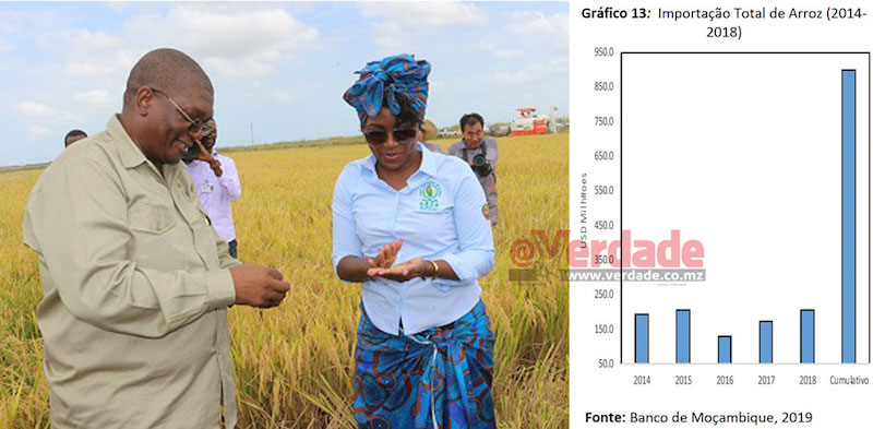 Mundo | Estudo do Banco de Moçambique evidencia falhanço da produção de arroz em Gaza e que Governo falhou meta de produção