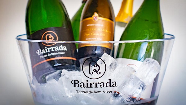 Região Centro | Bairrada conquista 11 prémios em concurso nacional de vinhos
