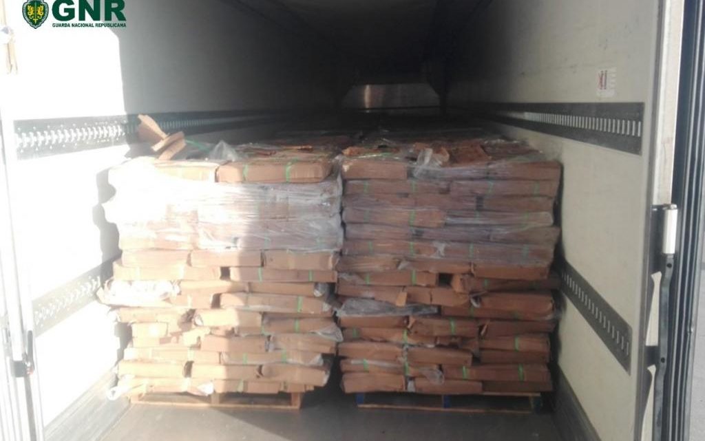 GNR apreende 63 toneladas de pescado congelado na Gafanha da Nazaré