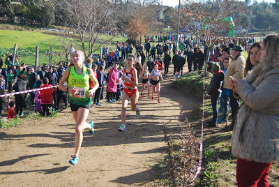 Mais de 500 atletas repartidos por cinco dezenas de equipas