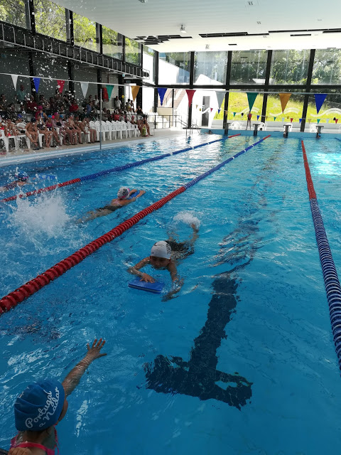 Ansião recebeu estágio de nadadores