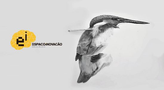 Espaço Inovação recebe workshop de ilustração científica