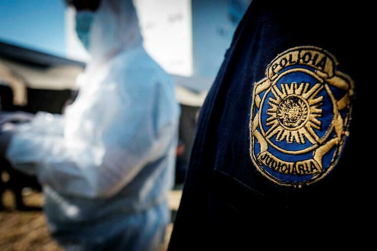 PJ investiga o alegado aparecimento de ossadas humanas em Mogadouro