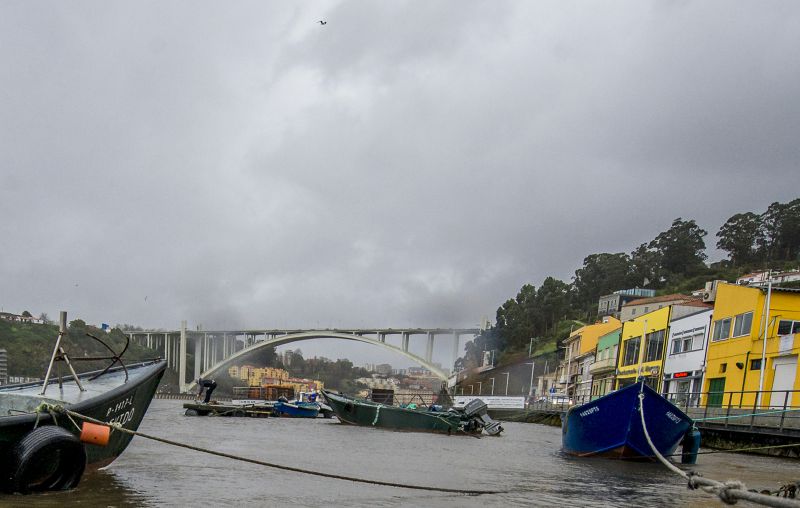 Verdes questionam Governo sobre “descargas poluentes” no rio Douro