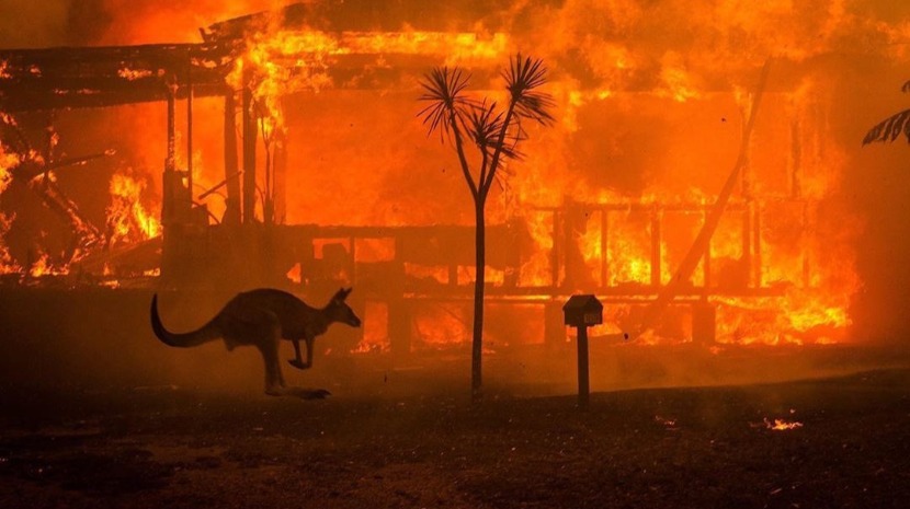 Portugueses entregam toneladas de alimentos e água a vítimas dos fogos na Austrália