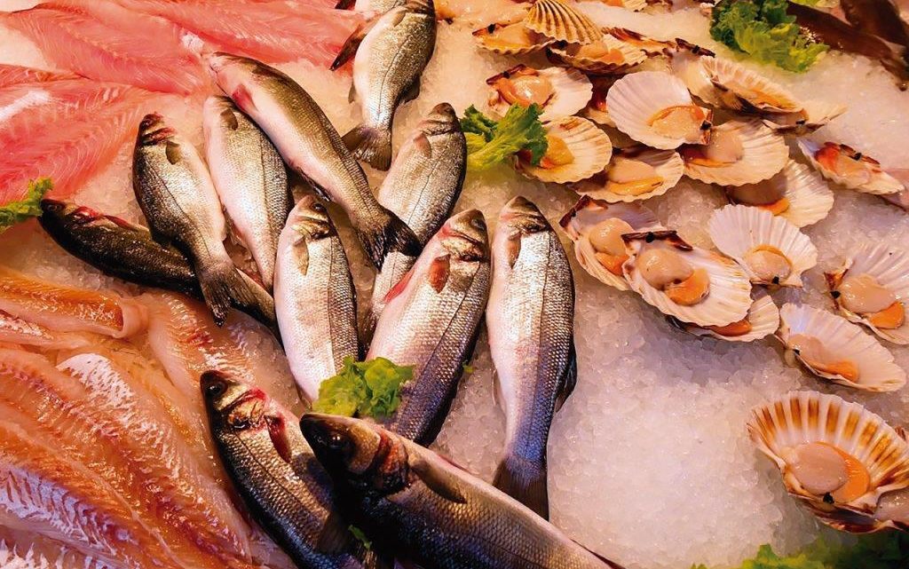 Com a abstinência de carne, a Igreja favorece o vegetarianismo? — Reposta do Pe. David Francisquini