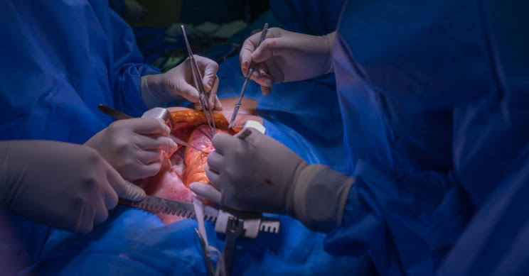 Músculo cardíaco de laboratório é transplantado para humanos pela primeira vez