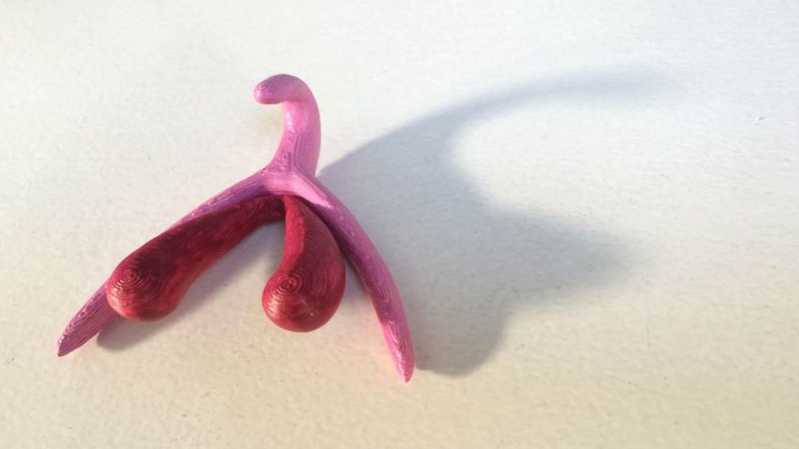 A história do clitóris, segundo a ciência