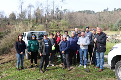 Carregal do Sal | Missão cumprida! Estão plantados 200 castanheiros, na Azenha