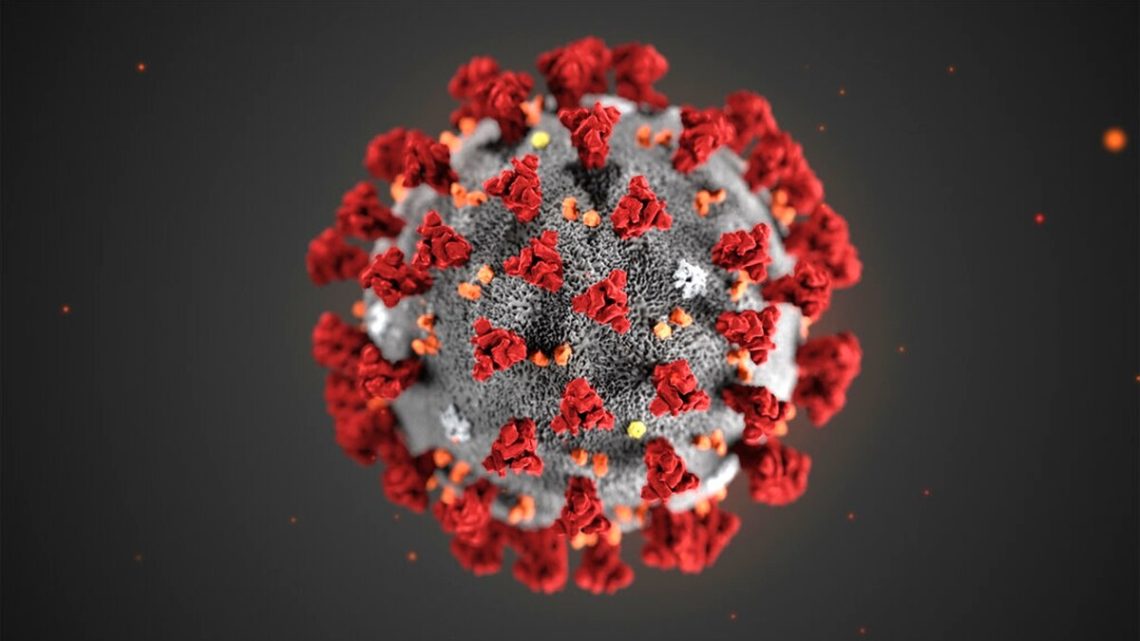 Cientistas apontam possíveis origens do novo coronavírus