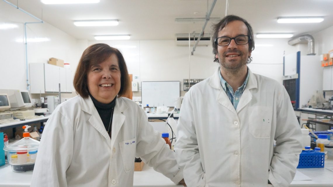 Utilizar os resíduos da madeira do eucalipto para o tratamento de águas residuais