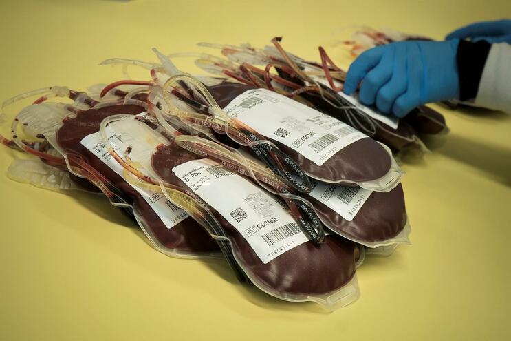 Hospital de S. João | Se puder, dê sangue. Banco do S. João corre risco de rutura