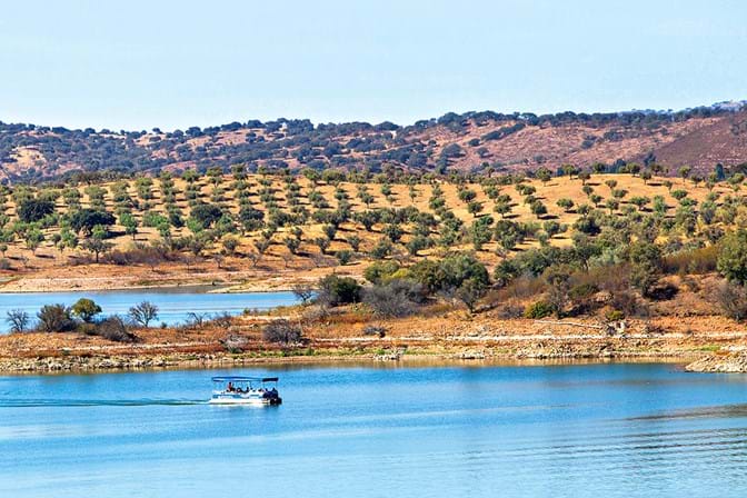 Serpa Terra forte no Ambiente
