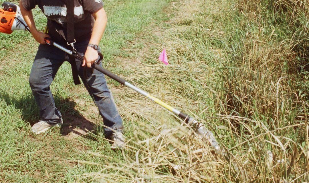 CÂMARA PROMOVE SESSÃO DE ESCLARECIMENTO SOBRE LIMPEZA DE TERRENOS