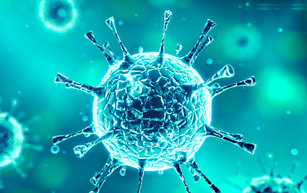 Covid-19: Investigadores vão testar eficácia de vacina contra tuberculose