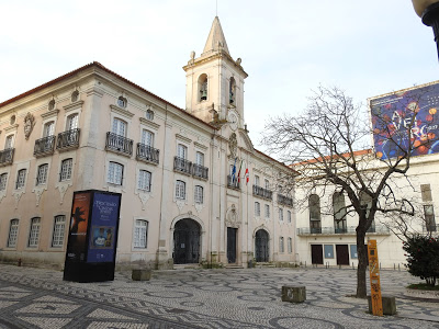 CMA lança Programa de Ação de Apoio à Atividade Social e Económica