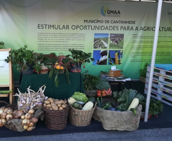 Cantanhede | Plataforma de venda de produtos locais, Gabinete Municipal de Apoio ao Agricultor ultima lançamento da campanha “Da Terra à Mesa”