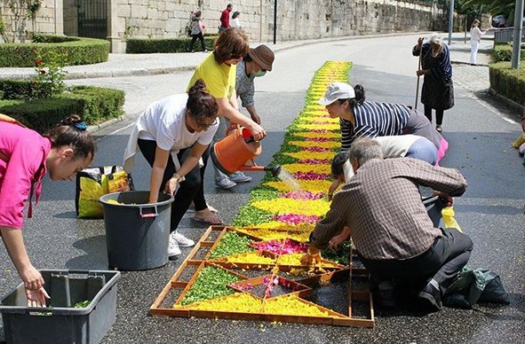 Município de Vouzela assume custos com mais de 350 testes a funcionários e utentes das Instituições Sociais