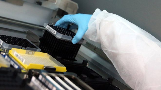 Uma investigação completa sobre a teoria da origem do coronavírus em laboratório