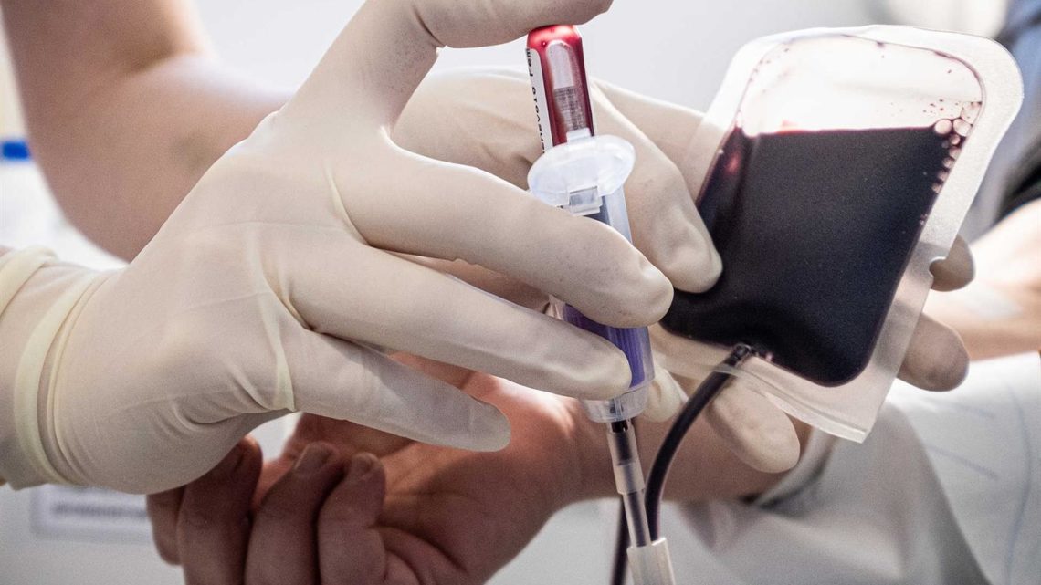 COVID-19 Portugal prepara-se para desenvolver terapêutica experimental com sangue
