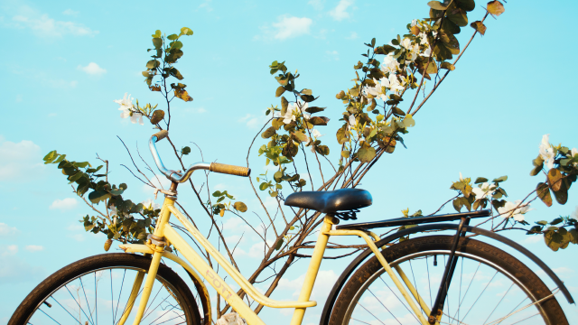 TRAJETO CICLÁVEL UA – ESTAÇÃO DA CP