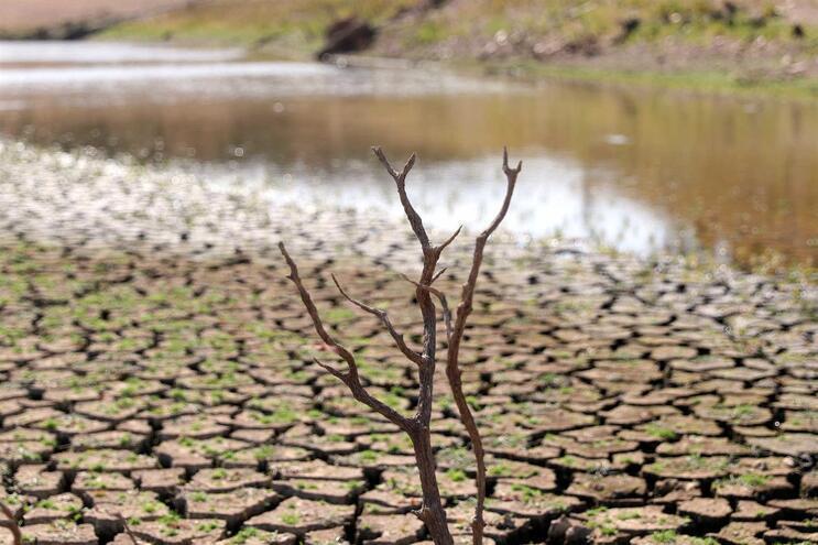 Portugal continental regista aumento da seca meteorológica em junho