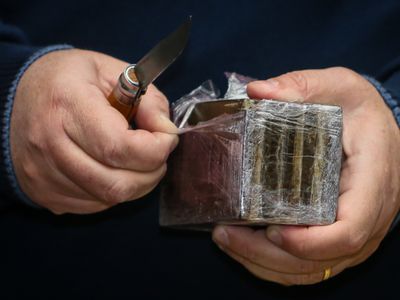 Louro prensado era vendido como se fosse droga no Porto