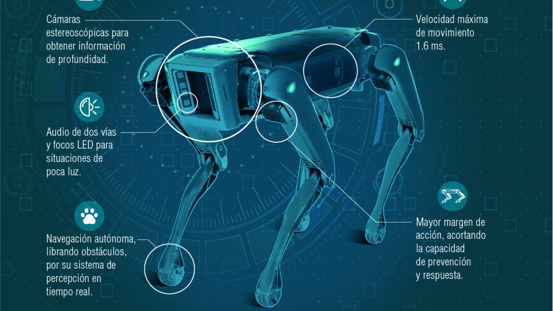 México | Adopta KIO Networks a SERVER y OS, los primeros perros robots en Latinoamérica