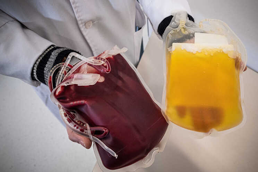 Saúde Poucas dádivas de sangue e aumento da necessidade geram apelo aos dadores
