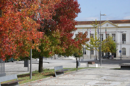 Anadia apoia Dadores de Sangue e Escuteiros