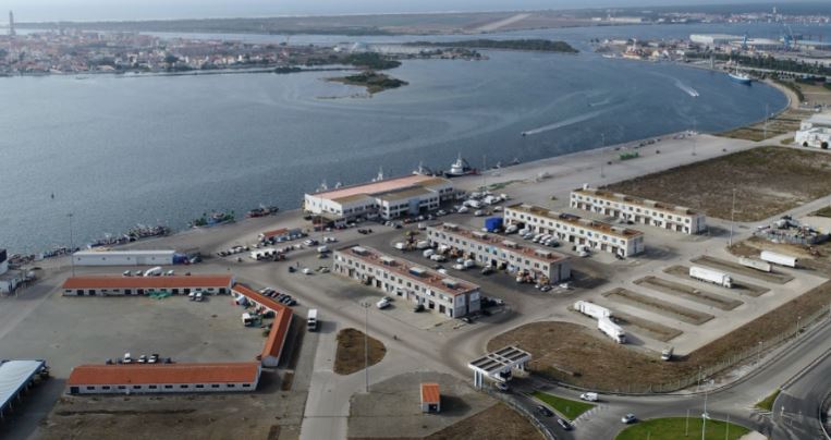 GNR de Aveiro apreendeu e doou 391 kgs de atum-rabilho