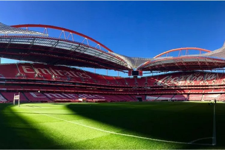 Homem invade instalações do Estádio da Luz com automóvel
