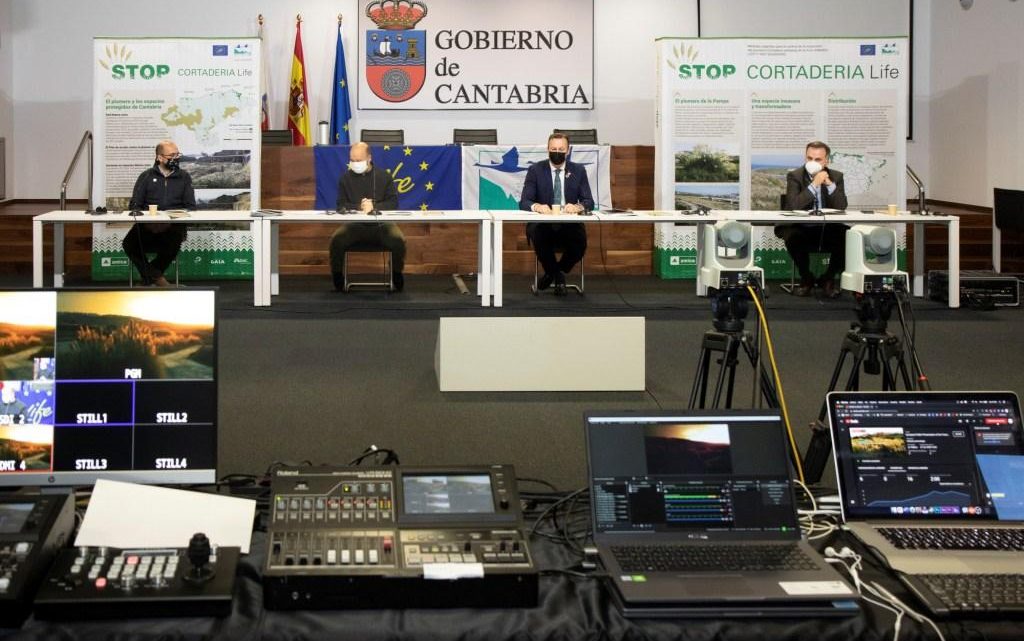 Coimbra | Apresentada Estratégia Transnacional de Luta contra a Erva-das-pampas