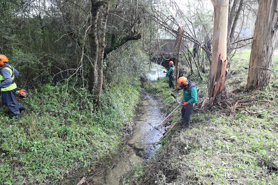 Câmara de Cantanhede promove limpeza e desobstrução de linhas de água