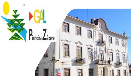 Tribunal de Contas considera que os pagamentos à Associação Pinhais do Zêzere não são permitidos por lei